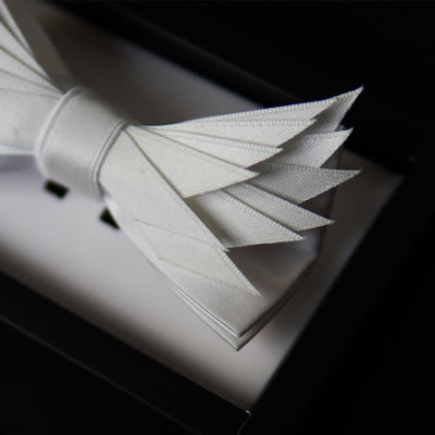 Clearance: Men's Clean Pure Wihte Wings Shape Bow Tie
