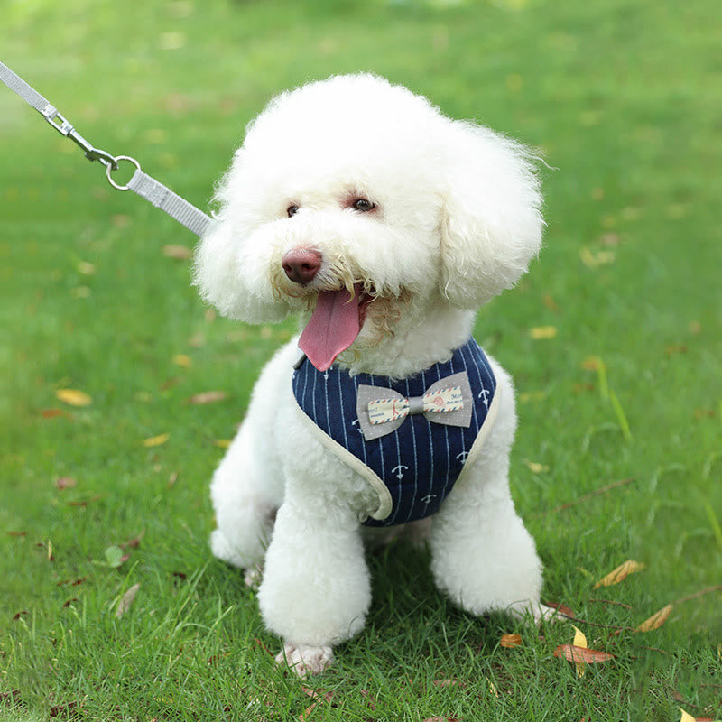 Dog Cat Bow Tie Walking Vest Dog Harness Leash Set