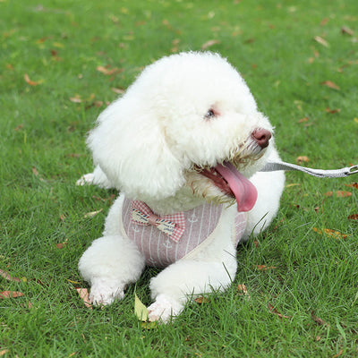 Dog Cat Bow Tie Walking Vest Dog Harness Leash Set
