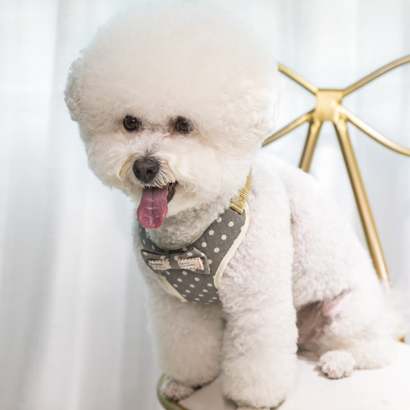 Dog Cat Bow Tie Training Walking Vest Dog Harness Leash Set