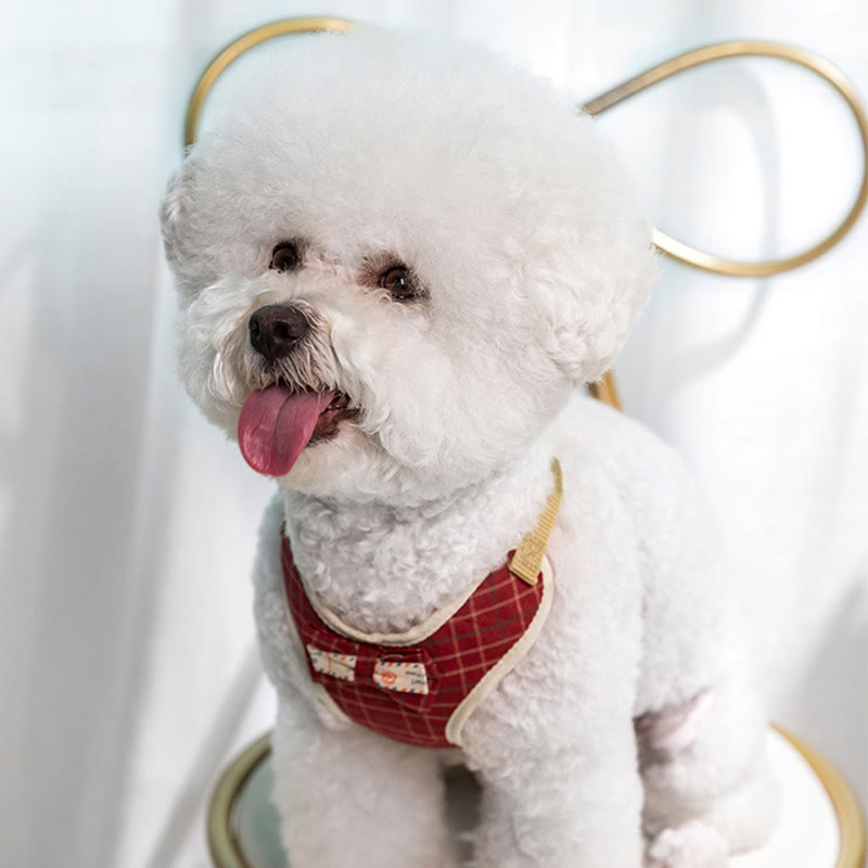 Dog Cat Bow Tie Training Walking Vest Dog Harness Leash Set
