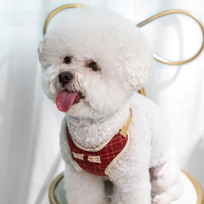 Dog Cat Bow Tie Training Walking Vest Dog Harness Leash Set