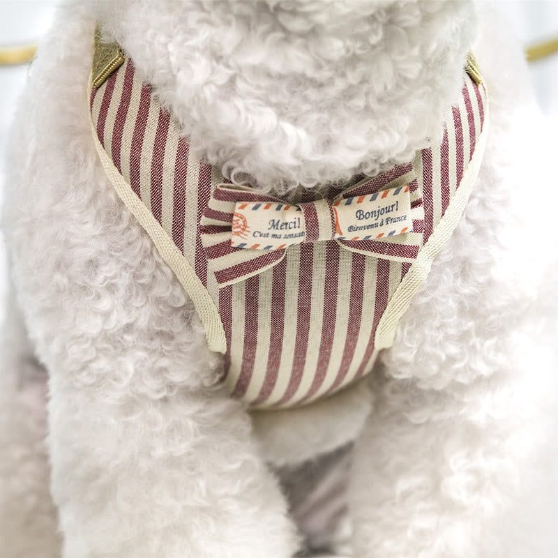 Dog Cat Bow Tie Training Walking Vest Dog Harness Leash Set