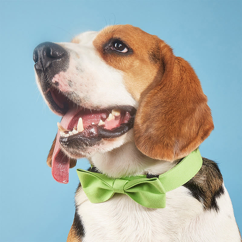 Adjustable Dog Collar Birthday Party Pet Bow Tie