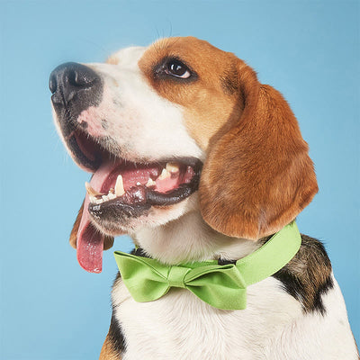 Adjustable Dog Collar Birthday Party Pet Bow Tie