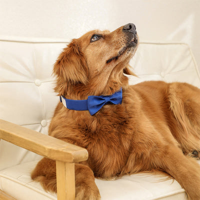 Adjustable Dog Collar Birthday Party Pet Bow Tie