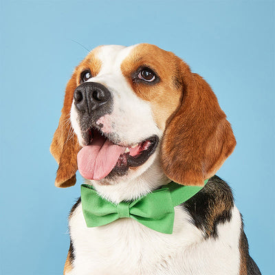Adjustable Dog Collar Birthday Party Pet Bow Tie