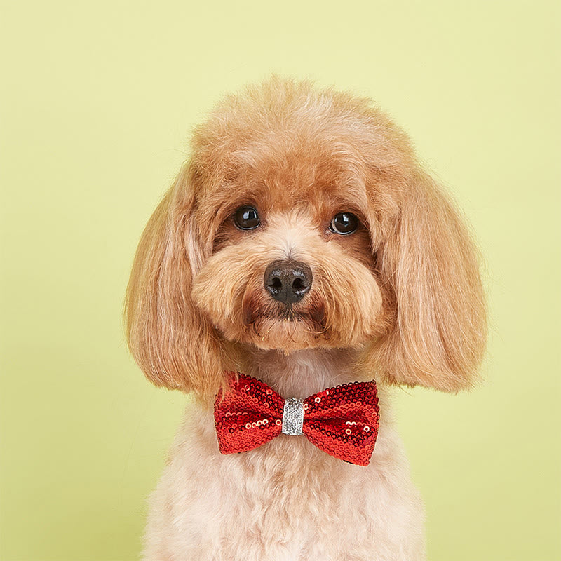 Sparkle Sequin Adjustable Collar Pet Bow Tie