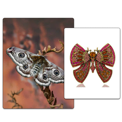 Women's Butterfly Art Decor Crystal Rhinestones Brooch